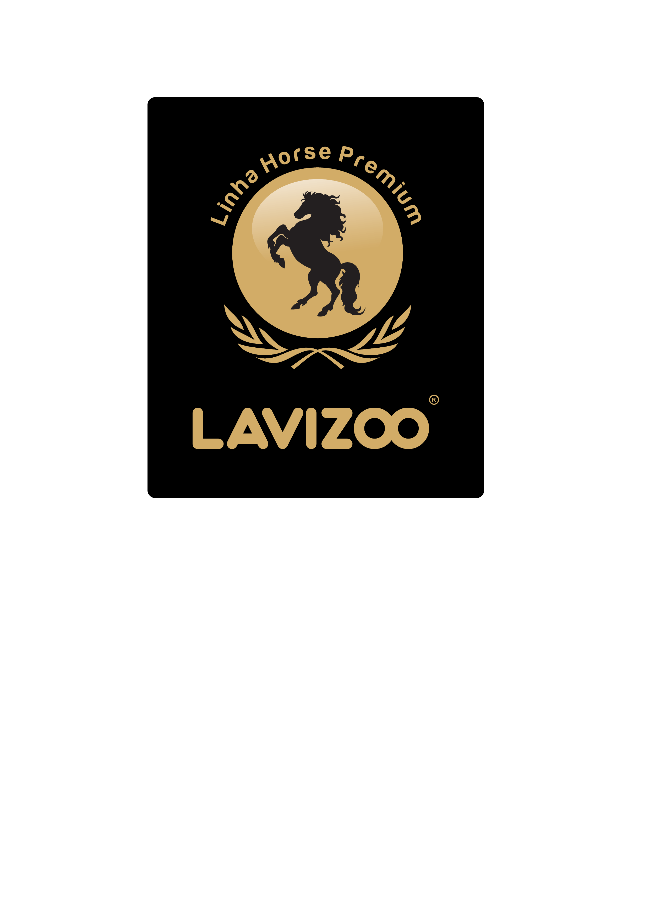 Logo Lavizoo
