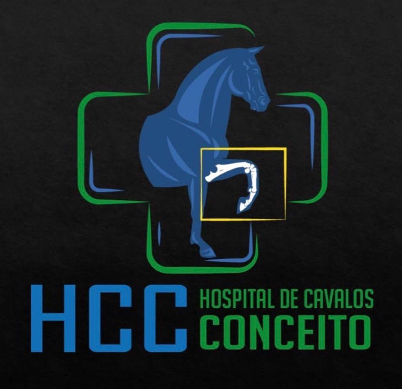 Logo Hospital de Cavalos Conceito